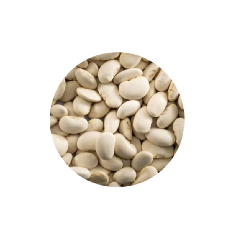 Poroto Pallar 500g