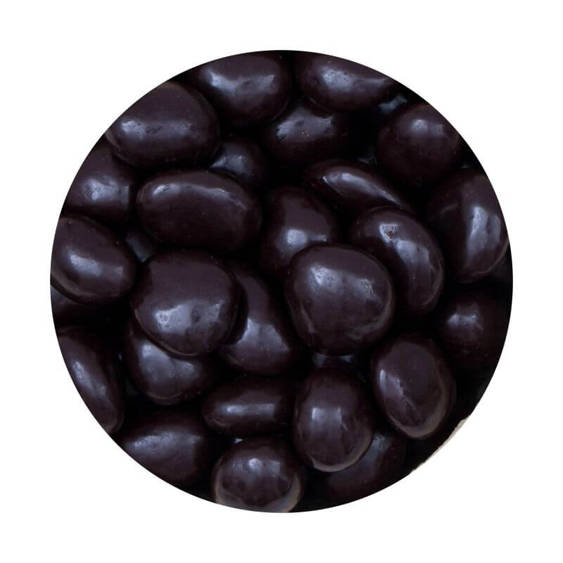 Arandanos c/chocolate 100g - Argenfrut