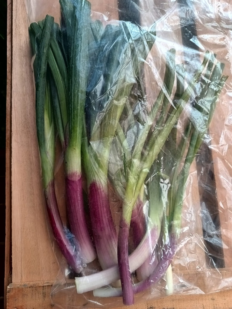 Cebolla de Verdeo Entera x 200 gr