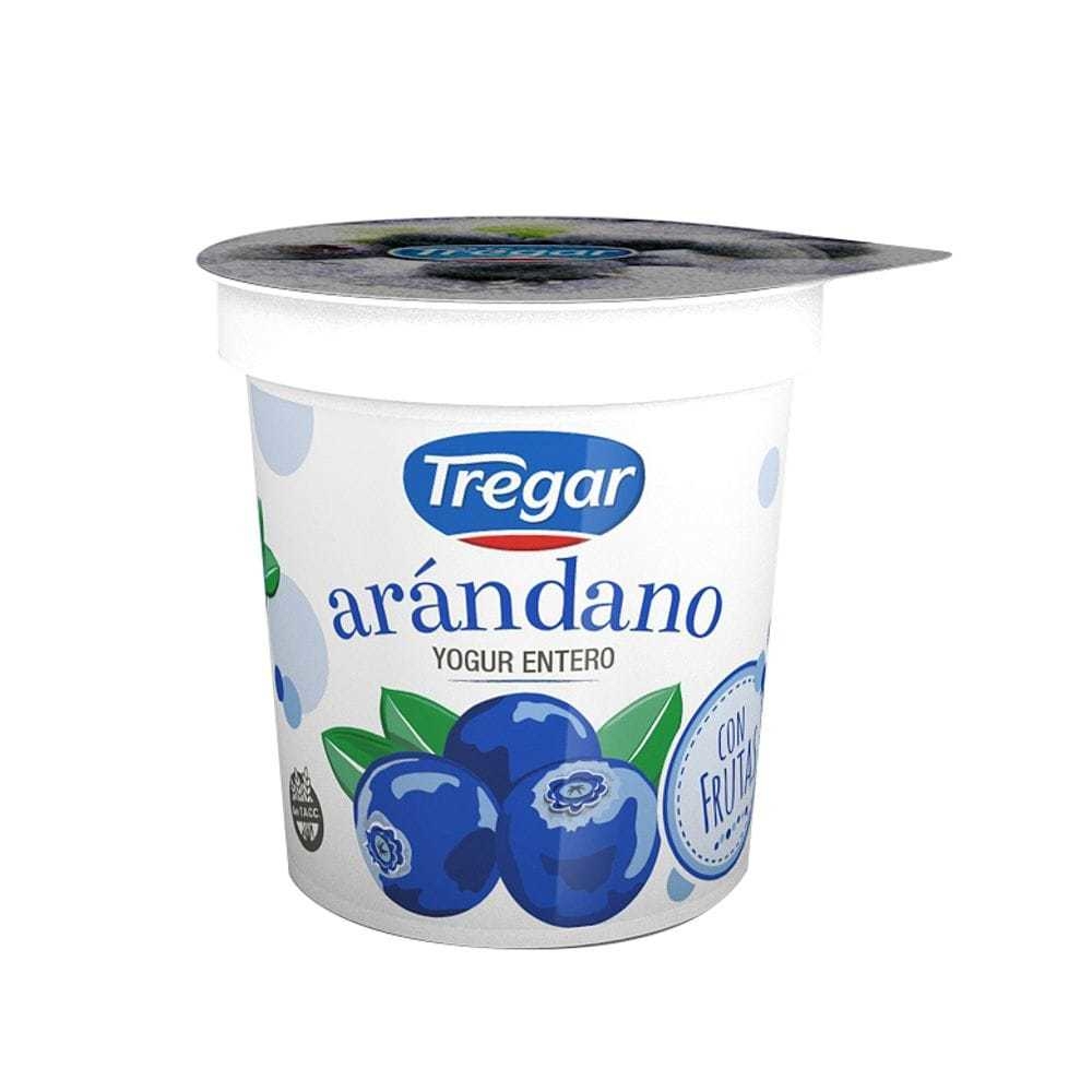 Yogur descremado con arándanos 160 grs - Tregar