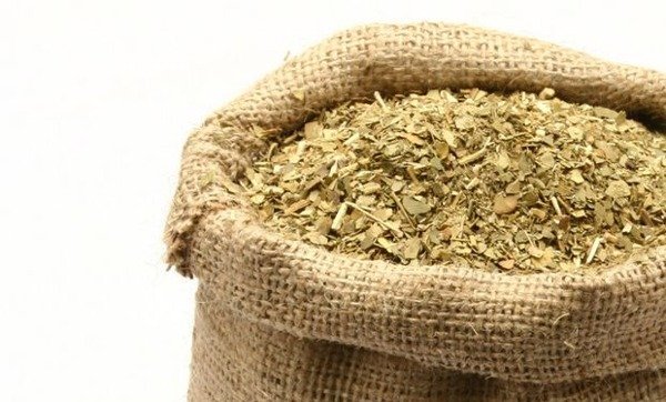Yerba Mate Misionera x1kg -NORY-