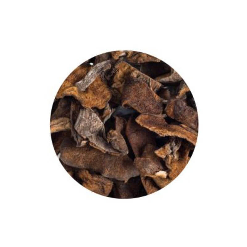 Hongos Secos 100g