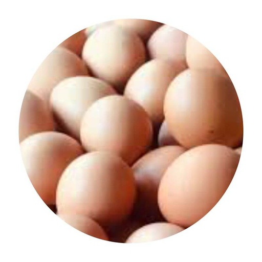 Mapple huevos de Campo